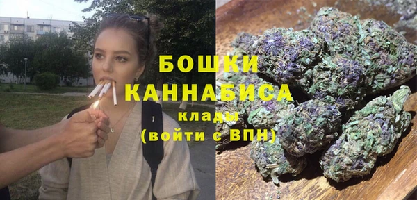 гидра Новозыбков