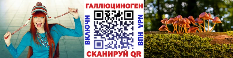 Псилоцибиновые грибы GOLDEN TEACHER MEGA вход Татарск darknet наркотические препараты как найти закладки