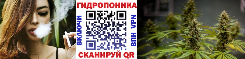 Канабис индика  что такое   omg онион  Татарск 